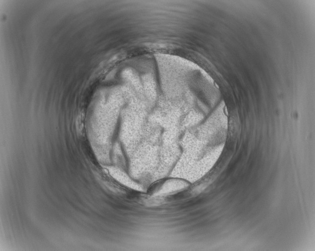 X0000085800671200704131922