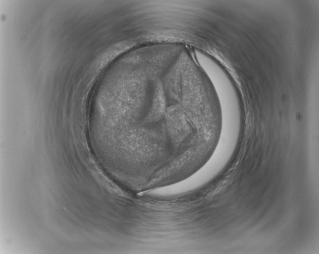 X0000085800673200704131922