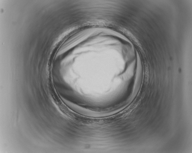 X0000085800674200704131922