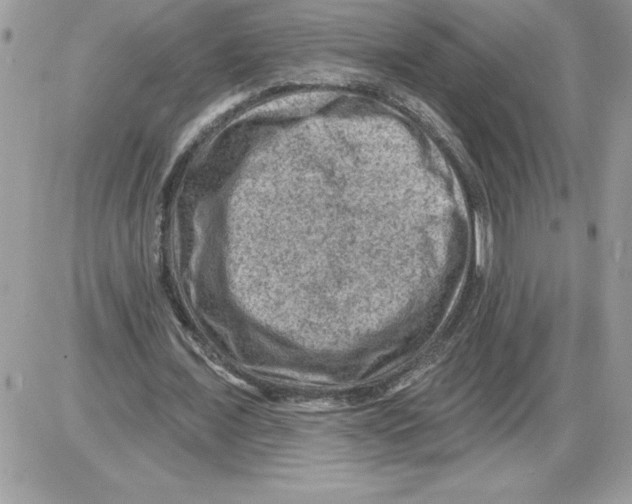 X0000085800675200704131921