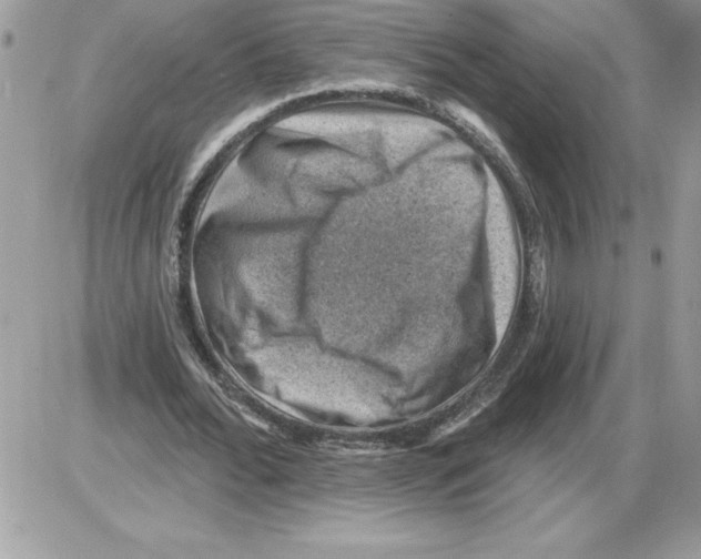 X0000085800676200704131921