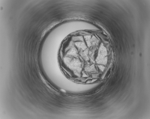 X0000085800677200704131921