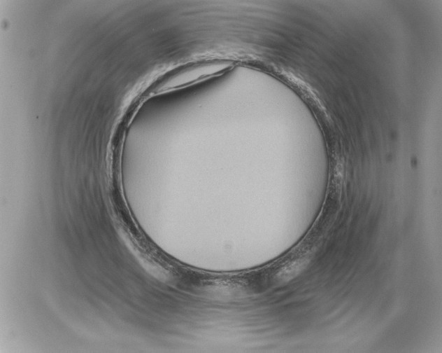 X0000085800678200704131921