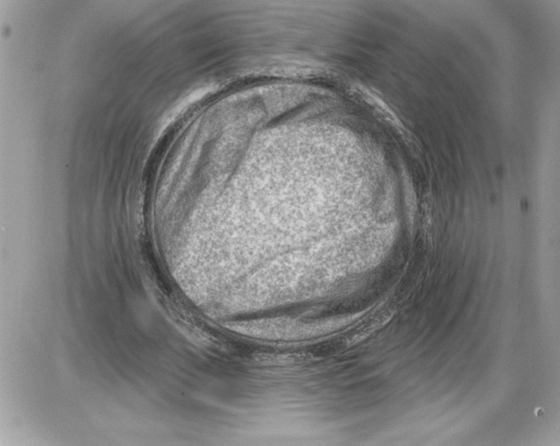 X0000085800679200704131921