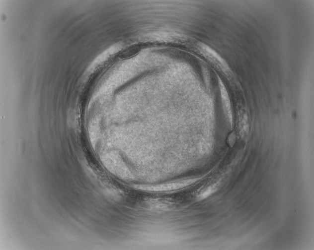 X0000085800680200704131921