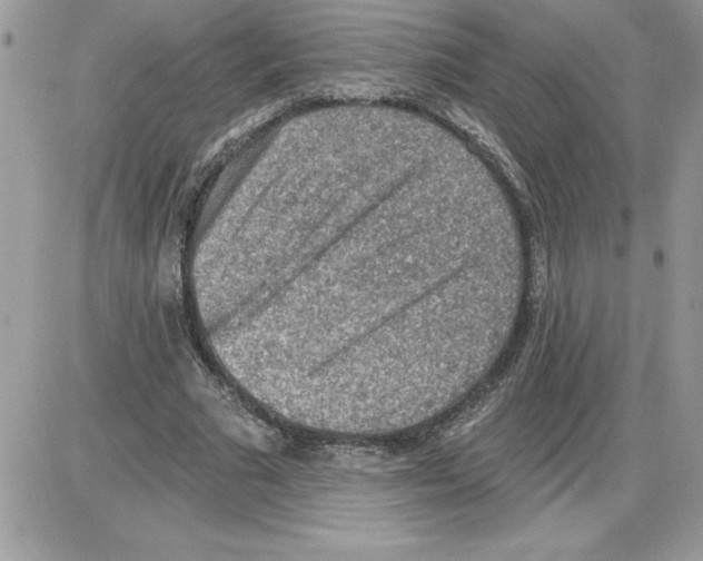 X0000085800681200704131921