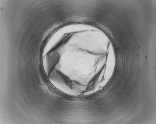 X0000085800682200704131921