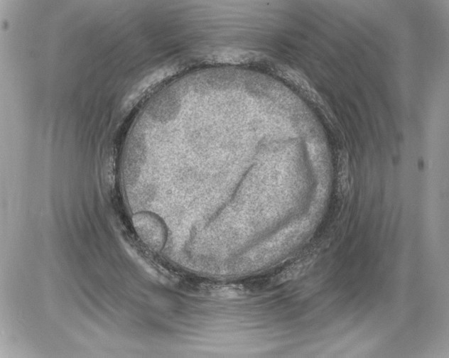 X0000085800683200704131921