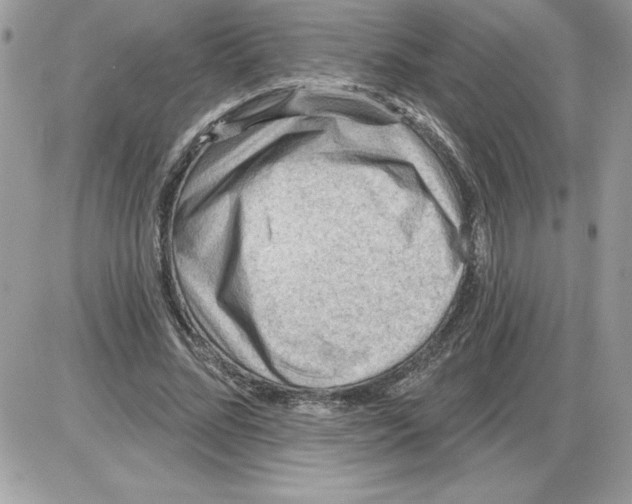 X0000085800684200704131921