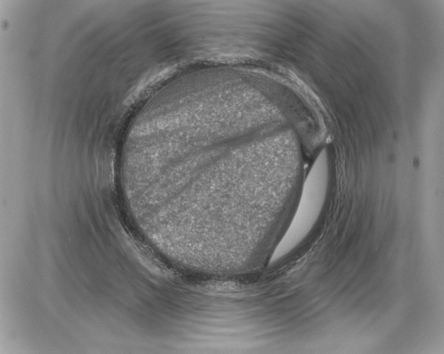 X0000085800685200704131921