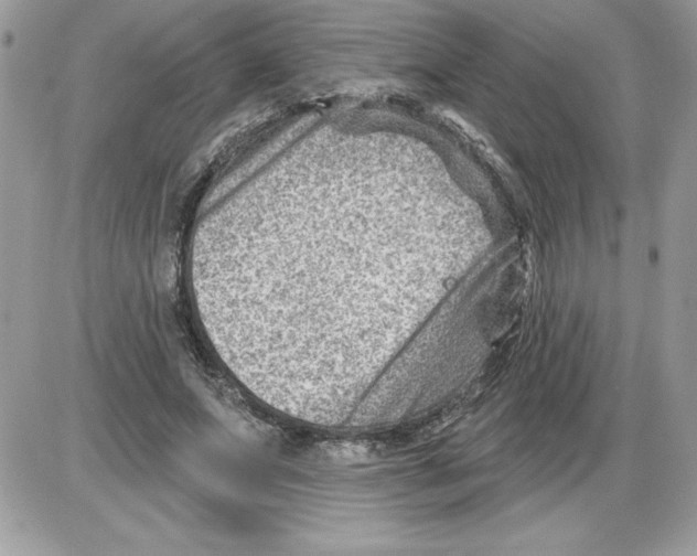 X0000085800687200704131921