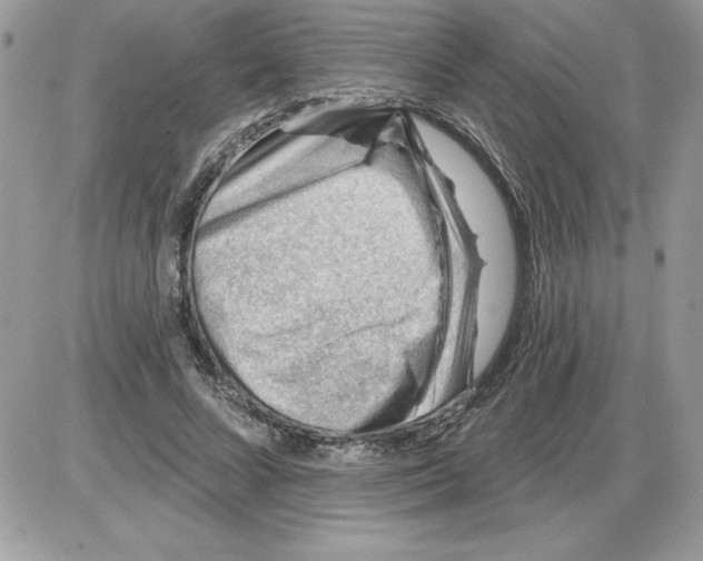 X0000085800688200704131921