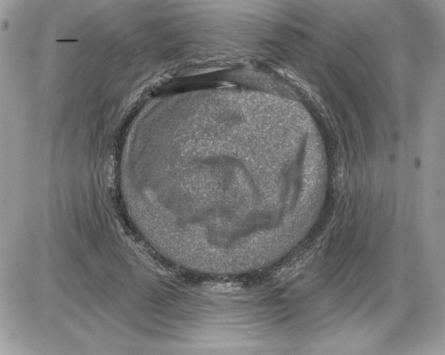 X0000085800689200704131921