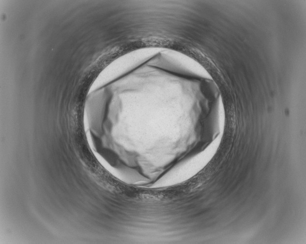 X0000085800690200704131921