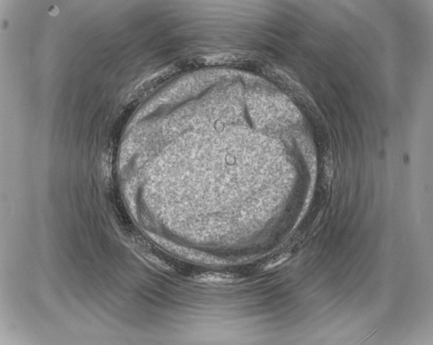 X0000085800691200704131921