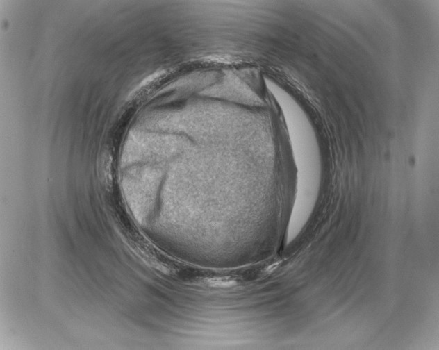 X0000085800692200704131921