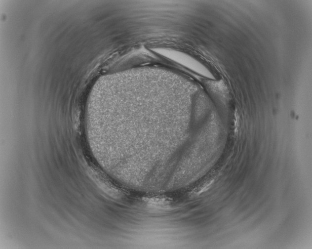 X0000085800693200704131921