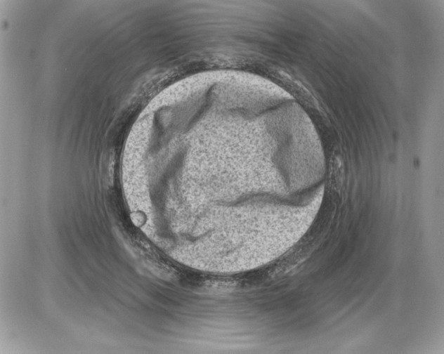 X0000085800694200704131921