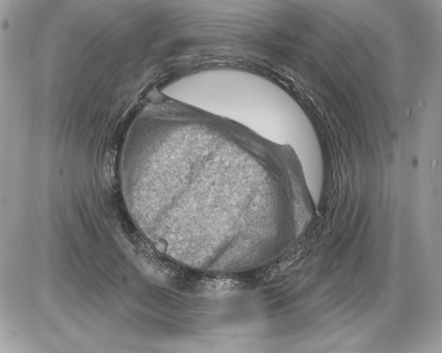 X0000085800695200704131921