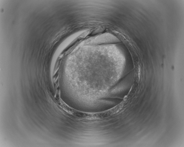 X0000085800696200704131921