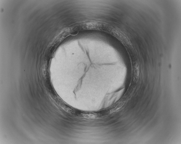 X0000085800698200704131921