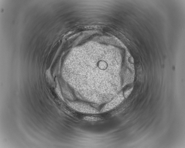 X0000085800699200704131921