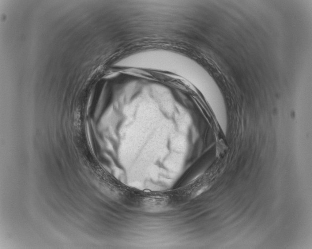 X0000085800700200704131921