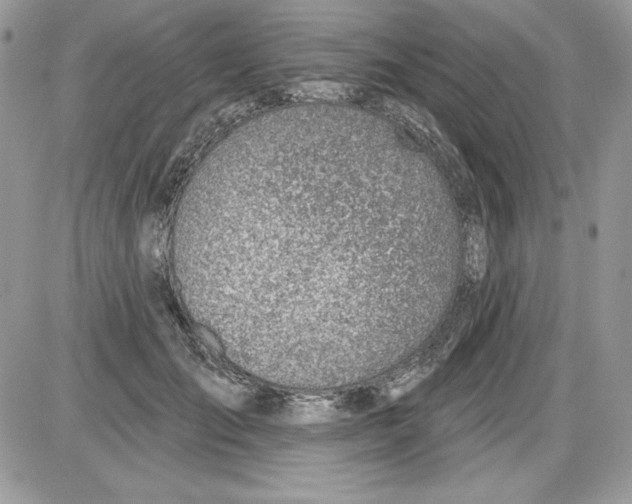 X0000085800701200704131921