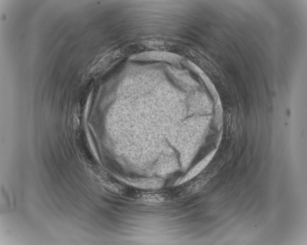 X0000085800702200704131921