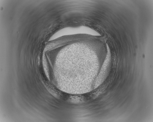 X0000085800703200704131921