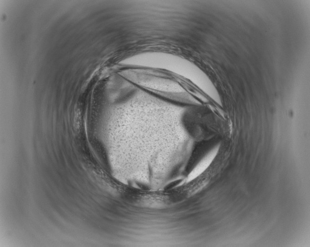 X0000085800708200704131921