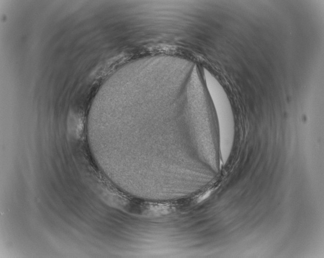 X0000085800709200704131921