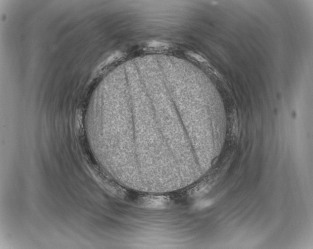 X0000085800711200704131921