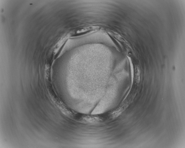 X0000085800712200704131921