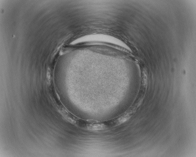 X0000085800716200704131921