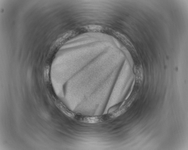 X0000085800717200704131921