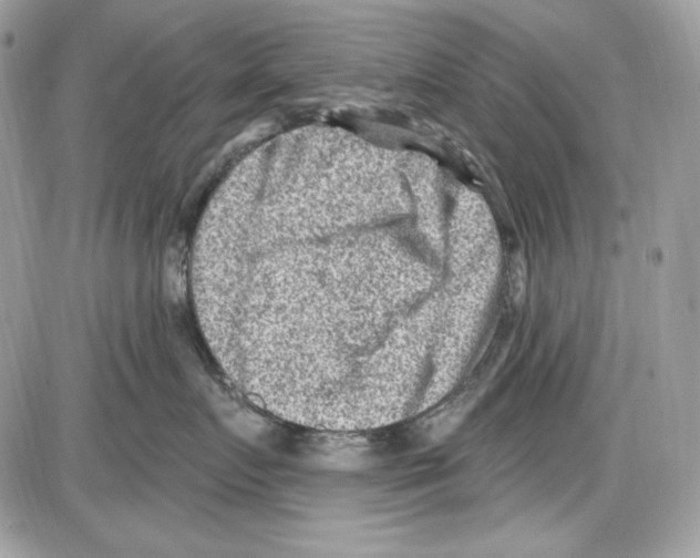 X0000085800719200704131921