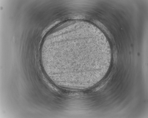 X0000085800721200704131920