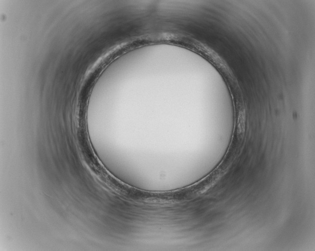 X0000085800722200704131920