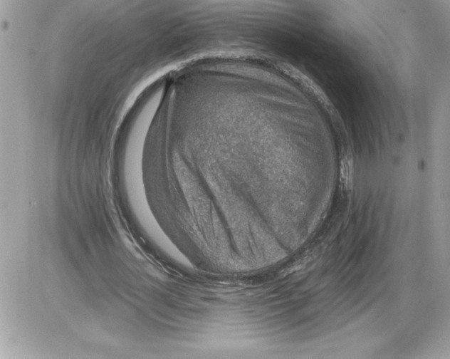 X0000085800724200704131920