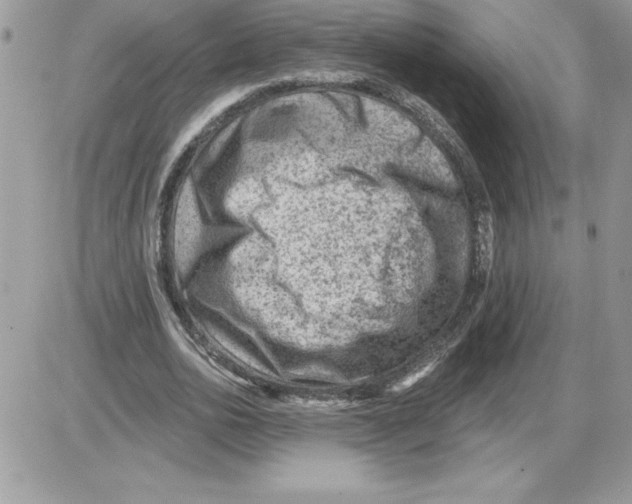 X0000085800726200704131920