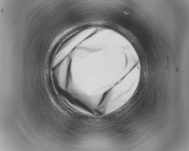 X0000085800728200704131920