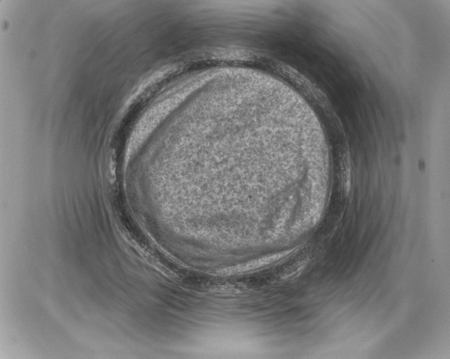 X0000085800731200704131920