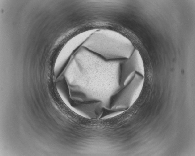 X0000085800732200704131920