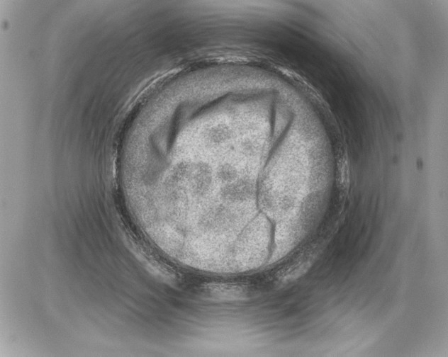 X0000085800733200704131920