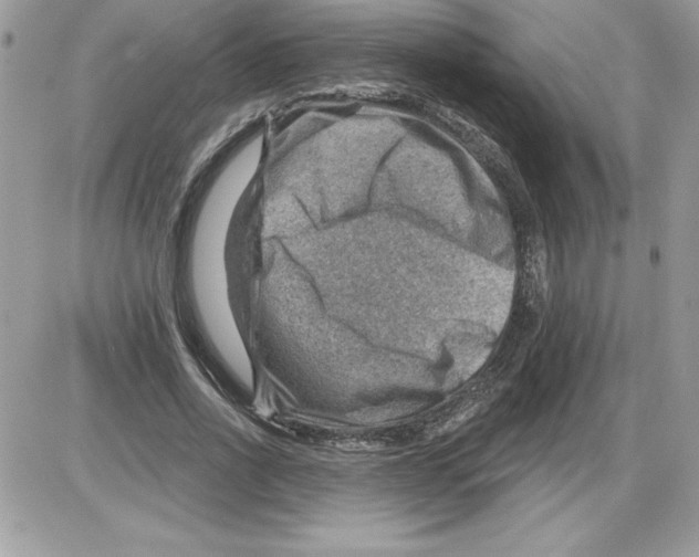 X0000085800734200704131920