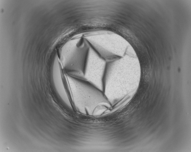 X0000085800735200704131920