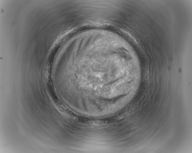 X0000085800736200704131920