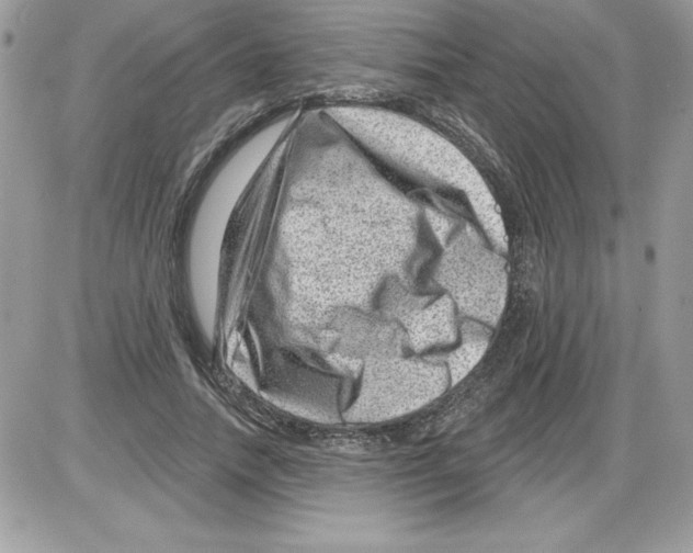 X0000085800738200704131920