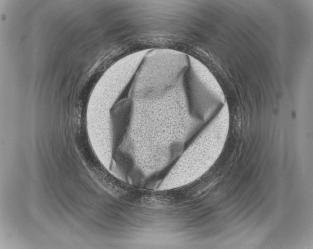 X0000085800739200704131920